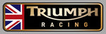 TRIUMPH RACING TB065