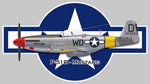 AVION MUSTANG P-51 D AMERICAIN AV010
