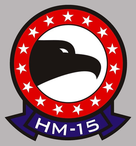 HM-15 BLACKHAWKS HZ014